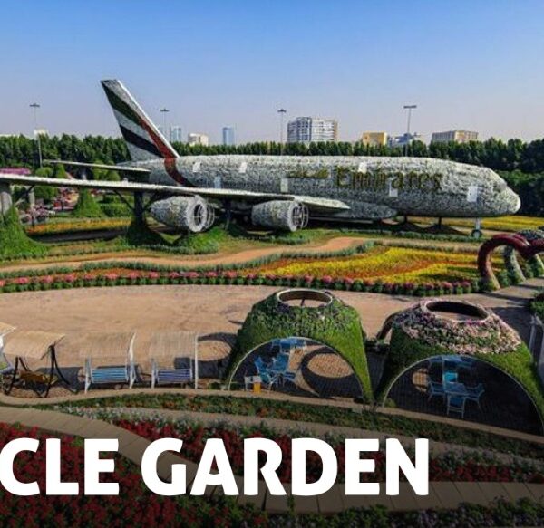 Dubai Miracle Garden