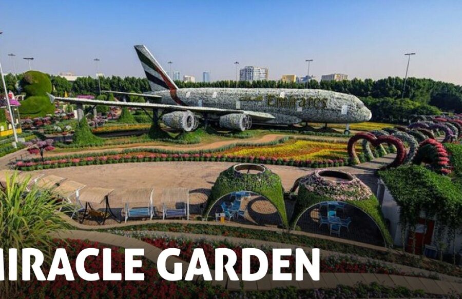 Dubai Miracle Garden